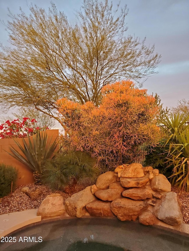 view of yard at dusk