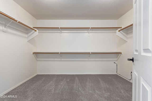 walk in closet featuring carpet