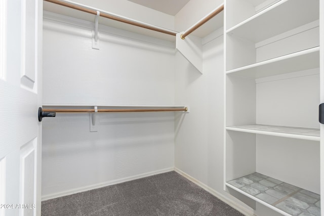 spacious closet with carpet floors