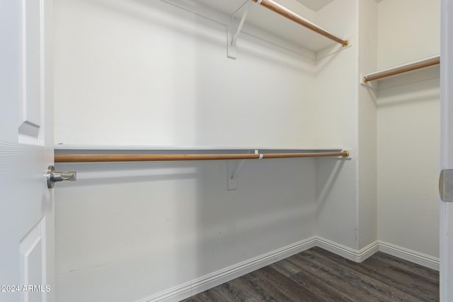 walk in closet with dark wood-type flooring