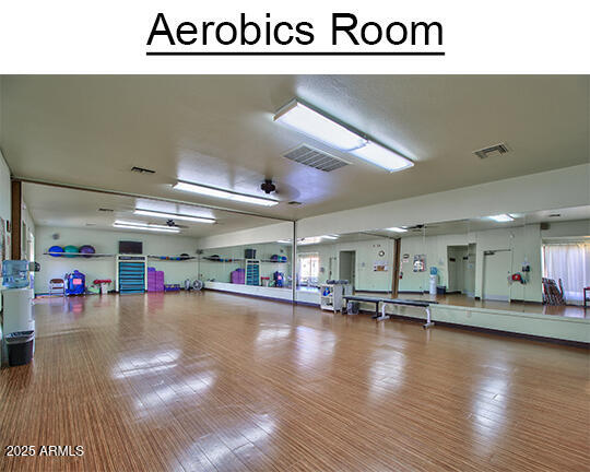 8426 W Utopia Rd, Peoria, AZ 85382 - exercise room with plenty of natural light