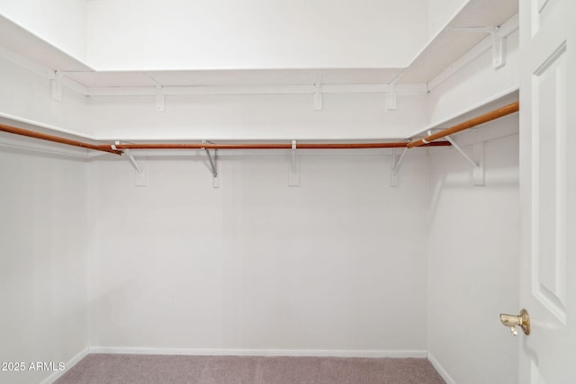 8426 W Utopia Rd, Peoria, AZ 85382 - spacious closet featuring carpet