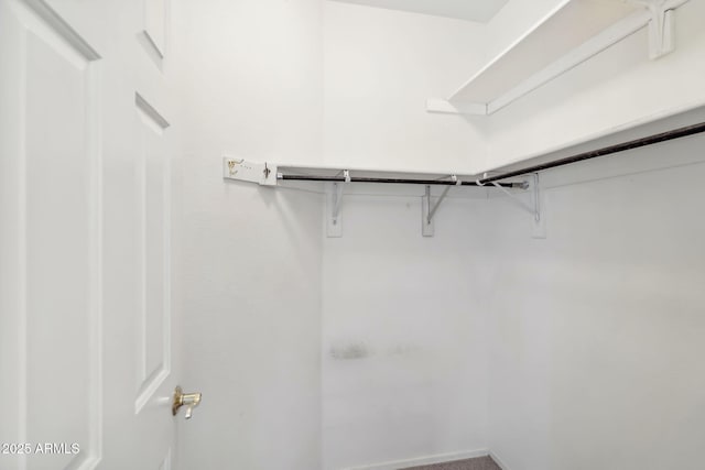 8426 W Utopia Rd, Peoria, AZ 85382 - view of walk in closet