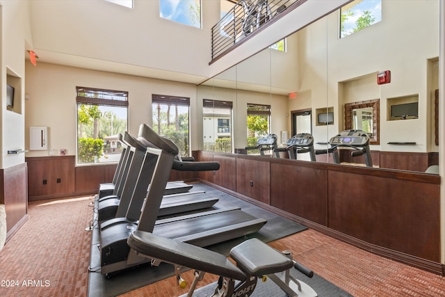 workout area with a towering ceiling, wooden walls, and plenty of natural light