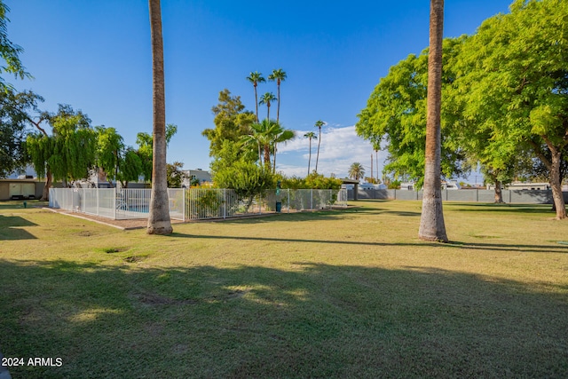 view of community with a yard