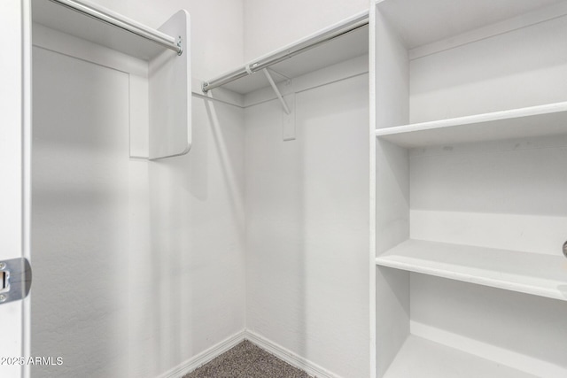 spacious closet featuring carpet floors