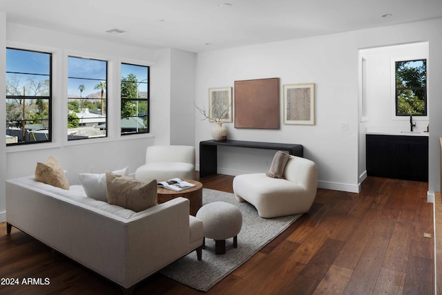 living room featuring a wealth of natural light, sink, and dark hardwood / wood-style flooring