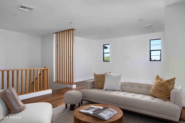 living room with wood-type flooring and plenty of natural light