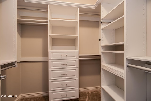 walk in closet with carpet floors