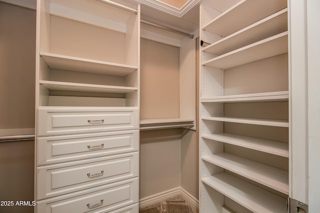 walk in closet featuring carpet