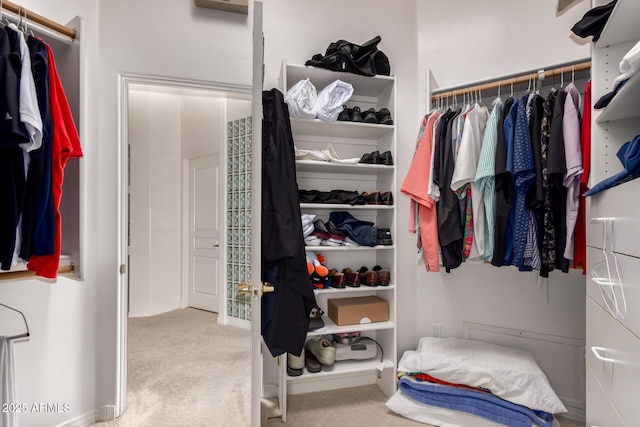 8324 E Cactus Wren Rd, Scottsdale, AZ 85250 - spacious closet with carpet