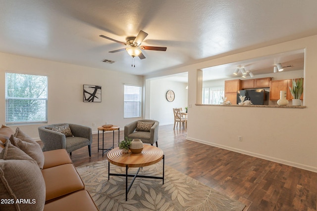 4642 E Sierrita Rd, San Tan Valley, AZ 85143 - living room featuring ceiling fan, wood finished floors, and plenty of natural light