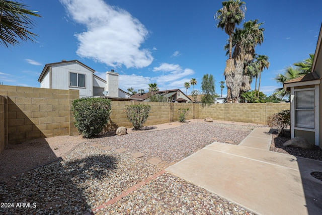 view of yard featuring a patio area