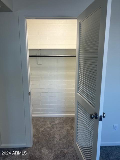 closet featuring dark colored carpet