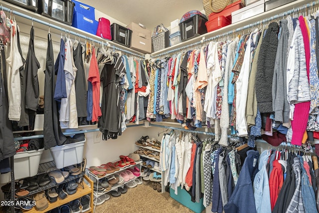 spacious closet with carpet