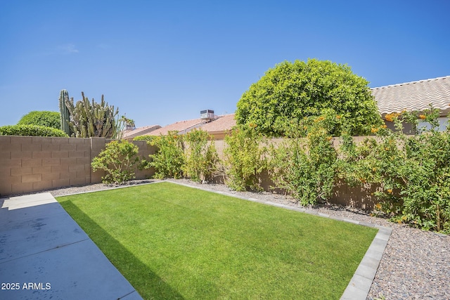 view of yard featuring a fenced backyard