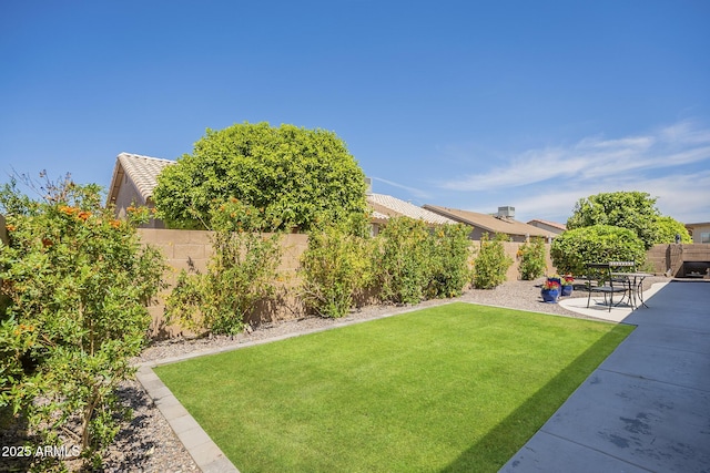 view of yard with a fenced backyard and a patio
