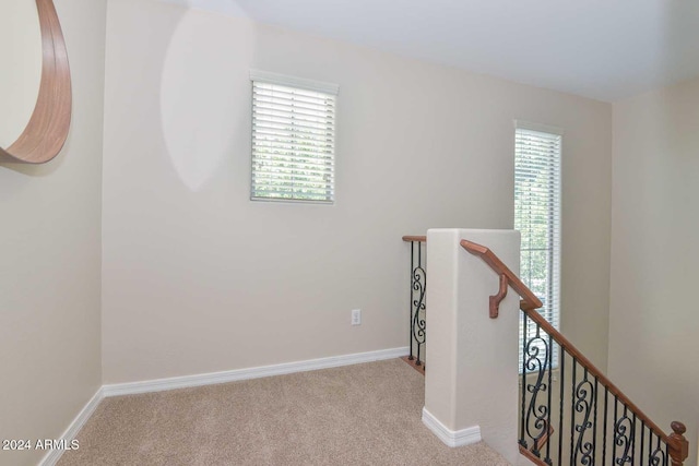 stairway featuring a healthy amount of sunlight and carpet flooring