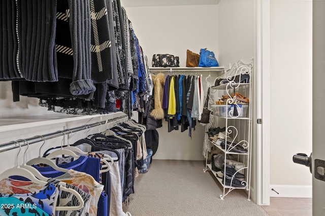 view of spacious closet