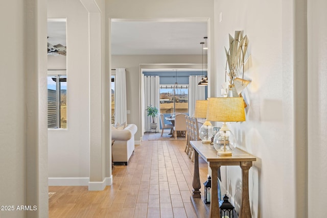 corridor with hardwood / wood-style flooring