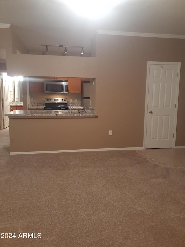 interior space featuring light carpet, stainless steel appliances, and track lighting