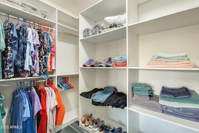 view of spacious closet