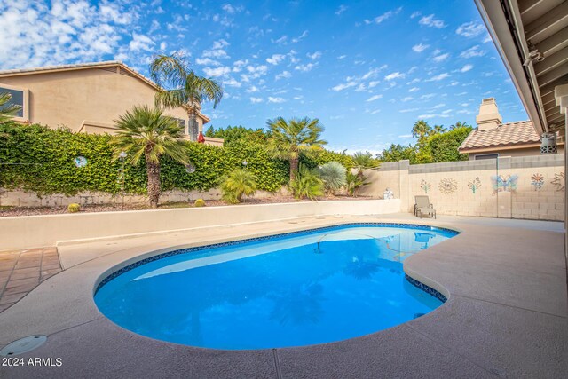 view of swimming pool featuring a patio area