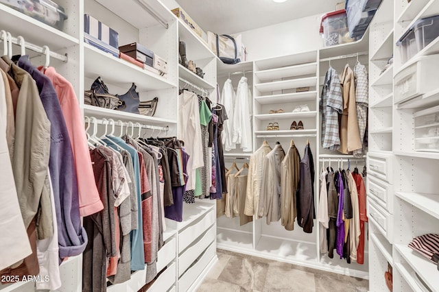 view of spacious closet