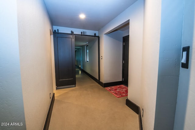 hall featuring light carpet and a barn door