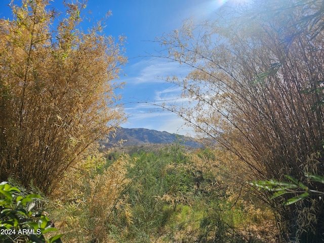 property view of mountains