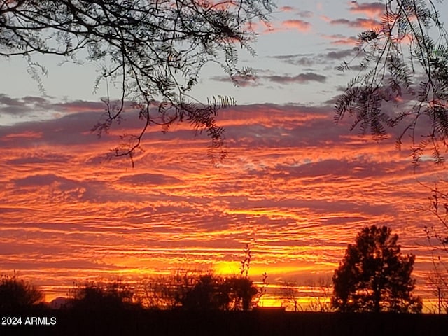 view of nature at dusk