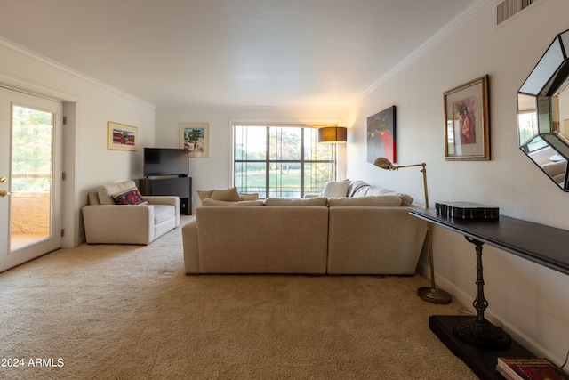 carpeted living room with crown molding and a healthy amount of sunlight