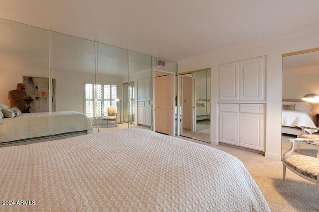 carpeted bedroom featuring multiple closets