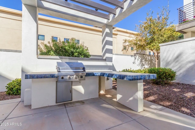 view of patio / terrace featuring area for grilling and grilling area