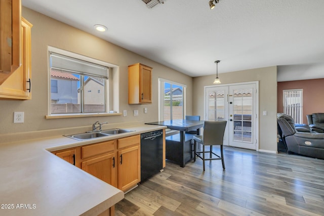 12720 W Cantenia Rd, Avondale, AZ 85392 - kitchen with dishwasher, light wood-style floors, decorative light fixtures, light countertops, and open floor plan