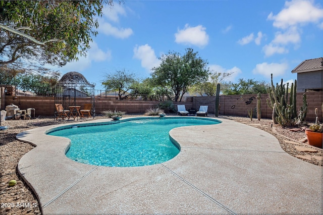 view of swimming pool featuring a fenced in pool, a patio, and a fenced backyard