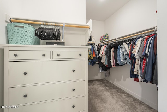 walk in closet featuring carpet floors