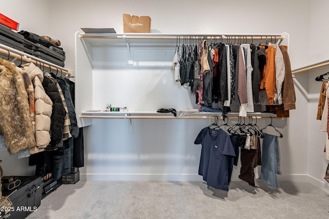 spacious closet with carpet floors