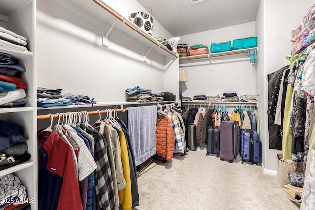 walk in closet featuring carpet flooring