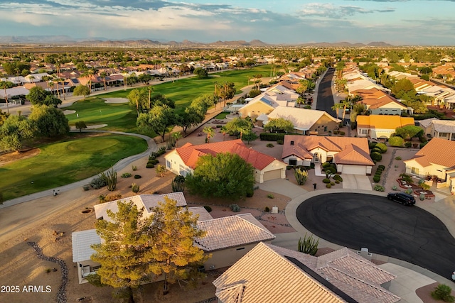 drone / aerial view featuring a mountain view