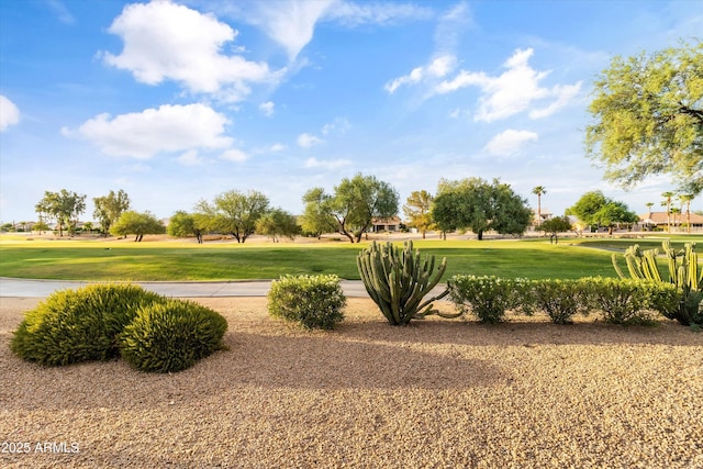 view of home's community with a yard