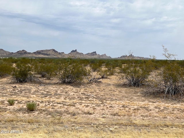 0 W Taurus Ave Unit 53, Eloy AZ, 85131 land for sale