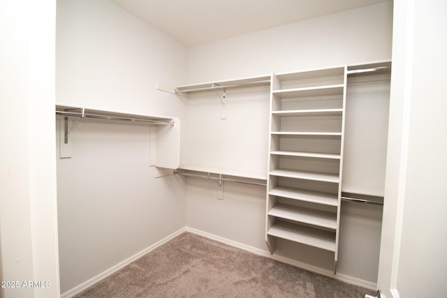 20471 E Carriage Way, Queen Creek, AZ 85142 - walk in closet with carpet