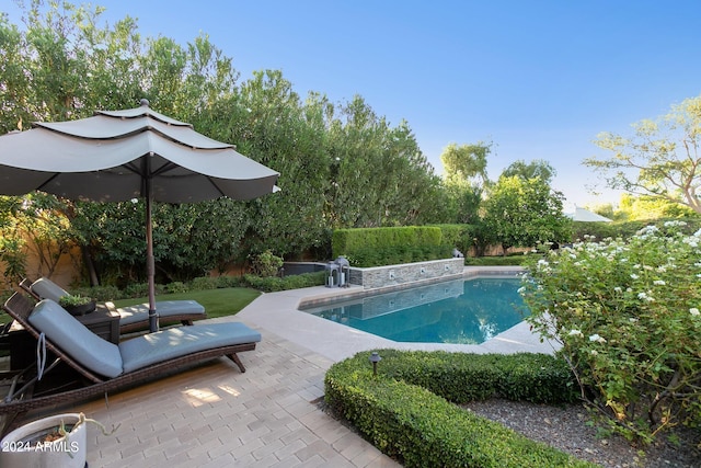 view of swimming pool with a patio