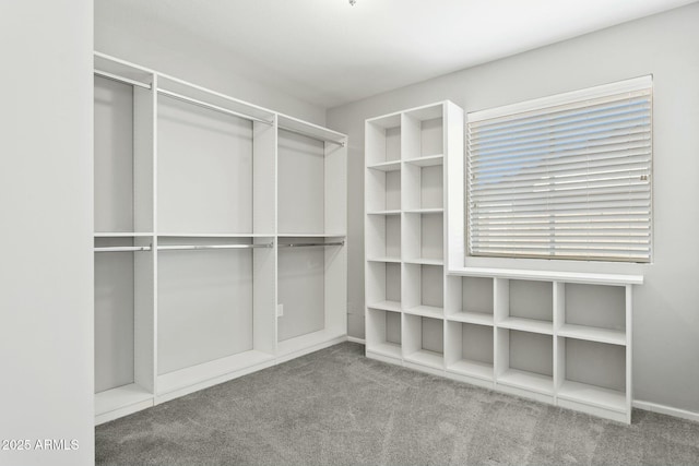 4634 W Aire Libre Ave, Glendale, AZ 85306 - spacious closet featuring carpet flooring