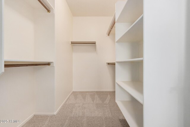 spacious closet featuring carpet