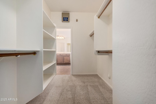spacious closet with carpet