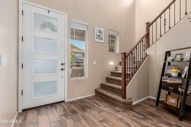 foyer entrance featuring dark hardwood / wood-style flooring