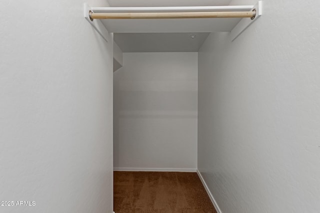 spacious closet featuring carpet