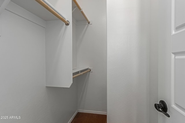 view of walk in closet